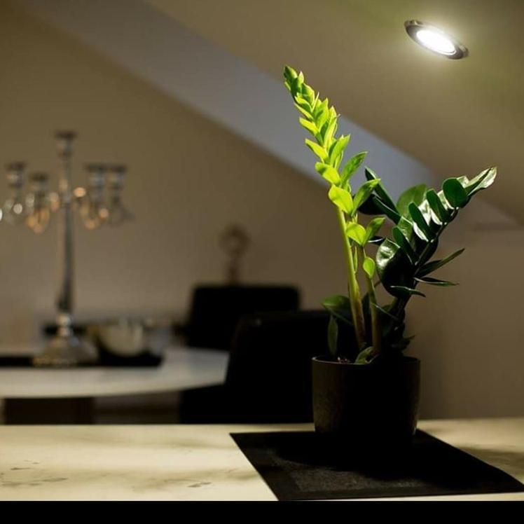 Apartamento Stan Na Dan Angel Novi Sad Exterior foto